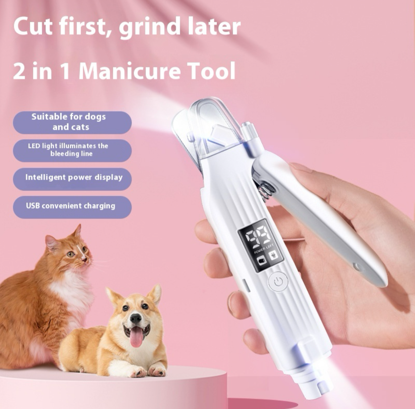 Pawnova