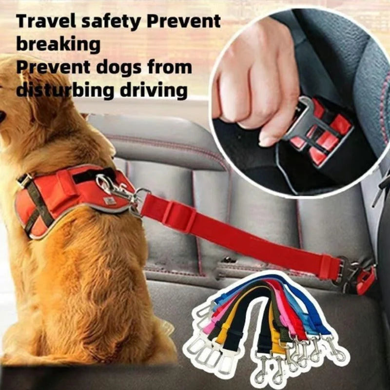 Pawsafe