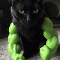 Buff Cat Muscle Photo Prop
