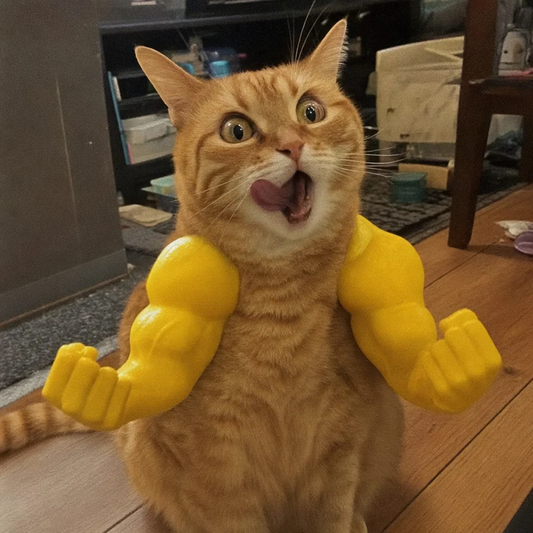 Swole Cat Bicep Muscle Arms