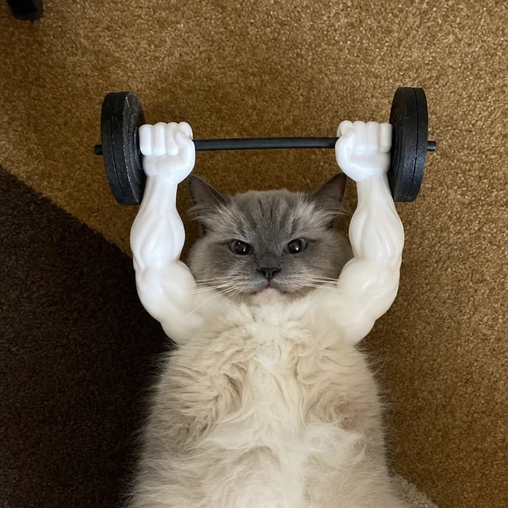Swole Cat Bicep Muscle Arms
